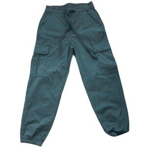 Americn Eagle Cargo Stretch Cargo Pant